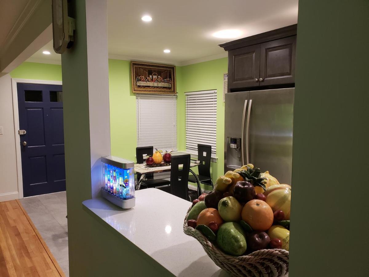 Comfortable Holiday Homestay New York Exterior photo